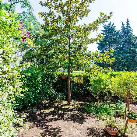 Gæstehus Alstroemeria 3*